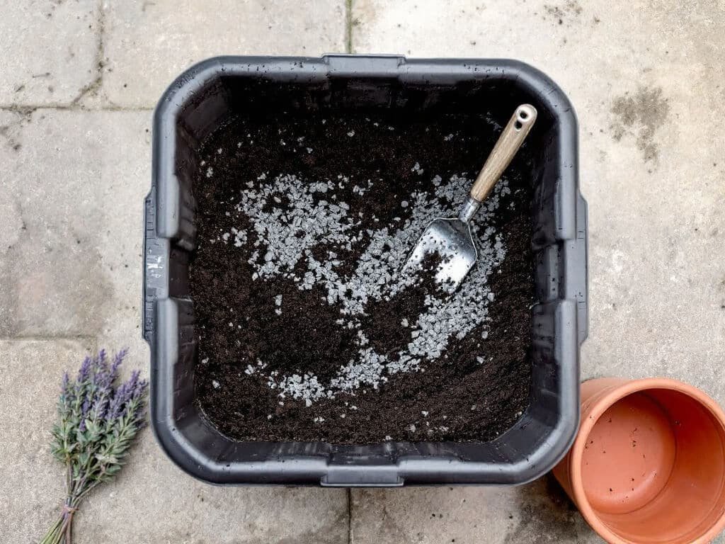 Potting mix blended with coarse gray grit in a tub with a trowel, ready for planting lavender in a pot.