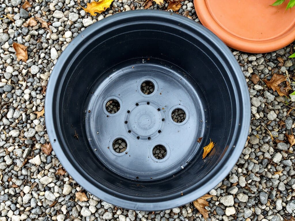 An upturned empty 18-inch pot showing open drainage holes, ready for planting bush beans.