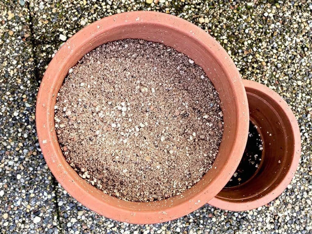 A terracotta pot filled with potting mix beside an upturned pot showing drainage holes, ready for petunias.