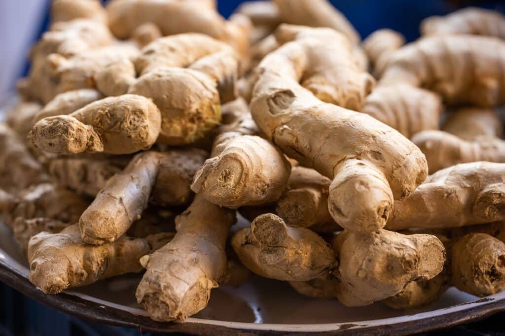 ginger companion plants
