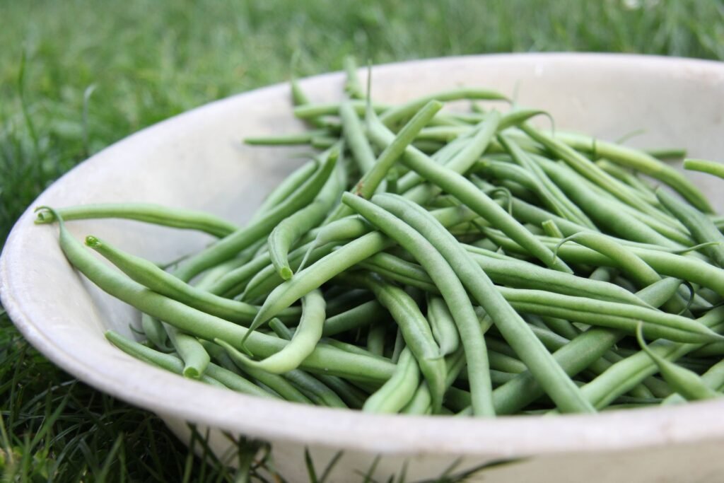 how to grow beans in pots
