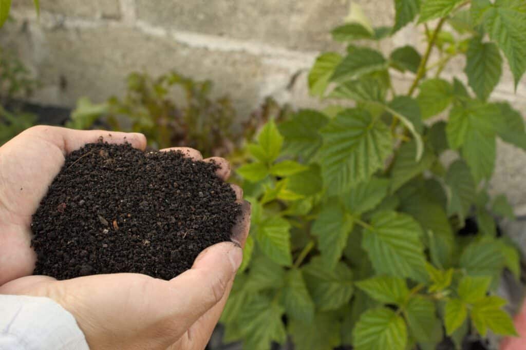 how to make organic fertilizer