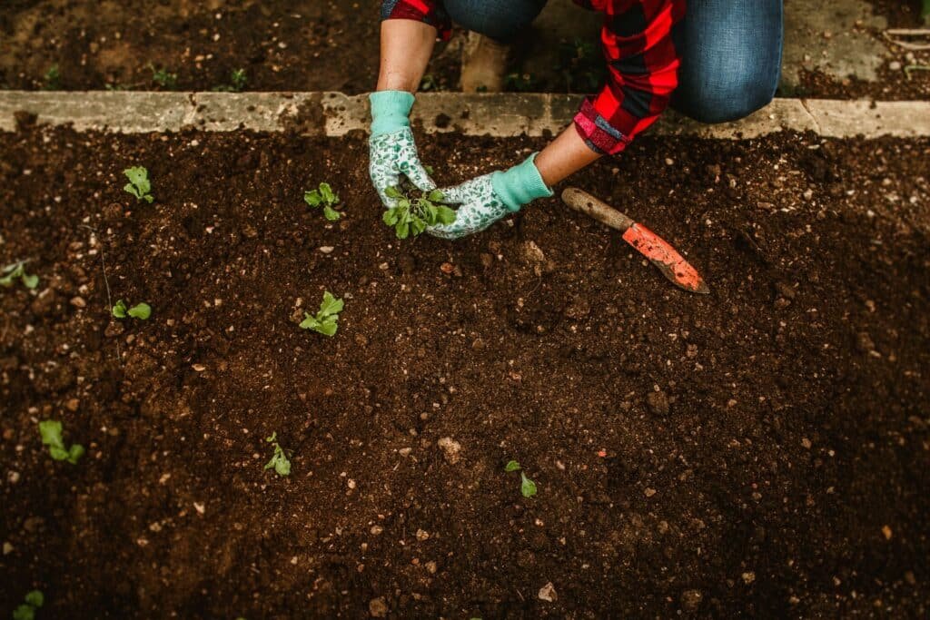 how to soften hard soil