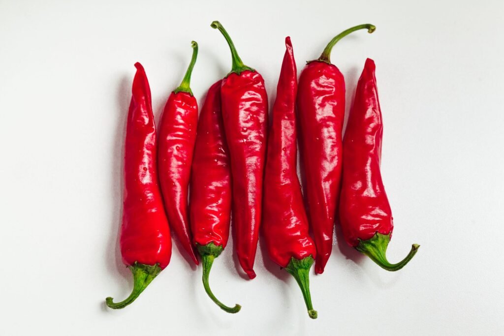 pepper seedlings
