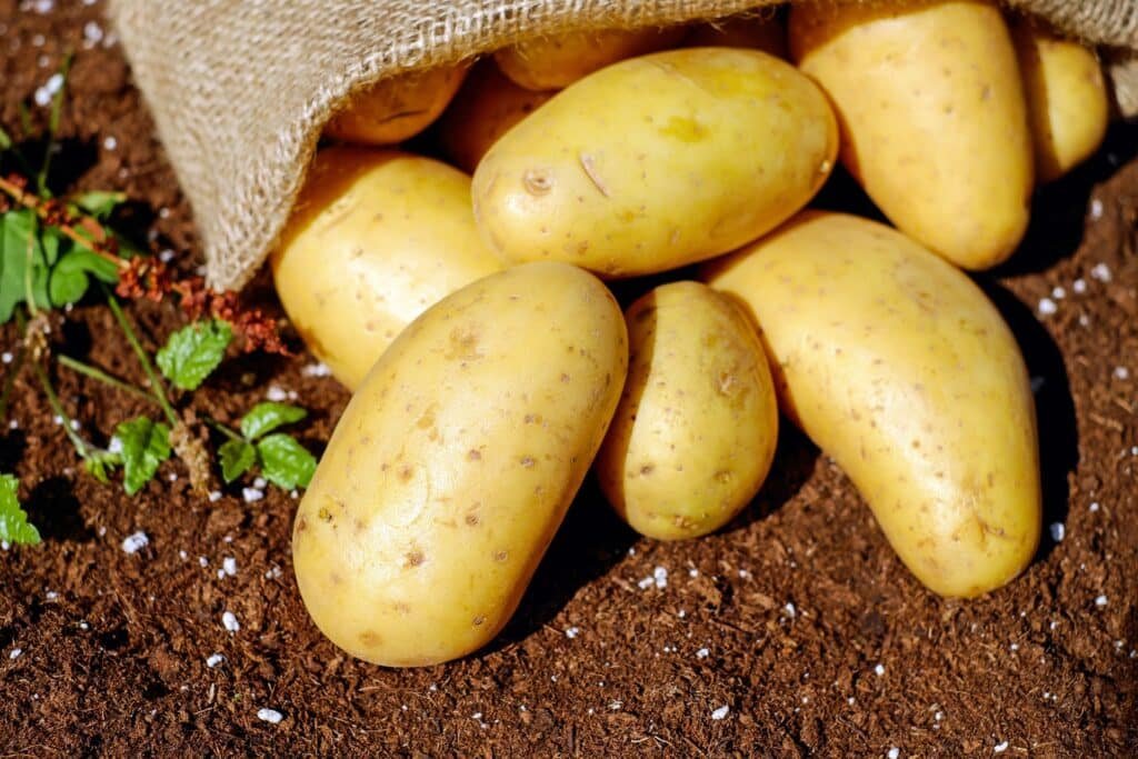 potato companion plants