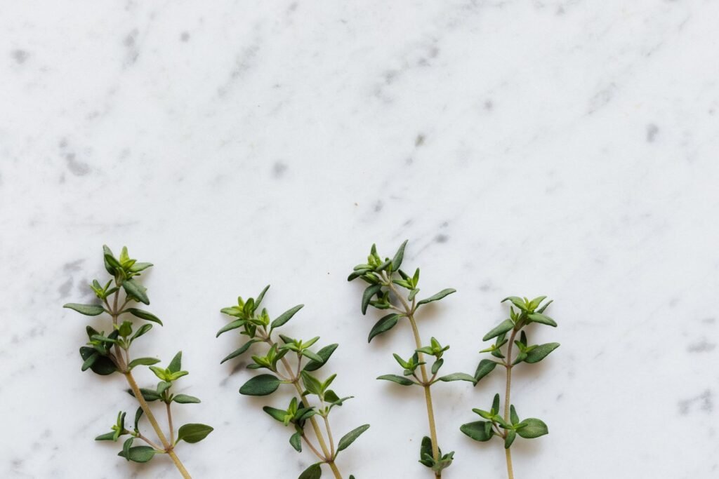 thyme companion plants