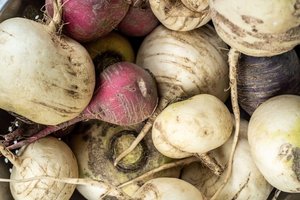 turnip companion plants